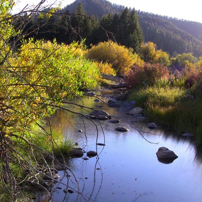 Lodging near West Yellowstone