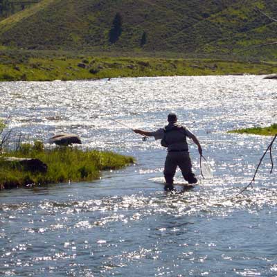 Madison River Cabins and Camping