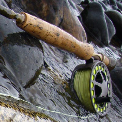 Madison River Fishing Reports