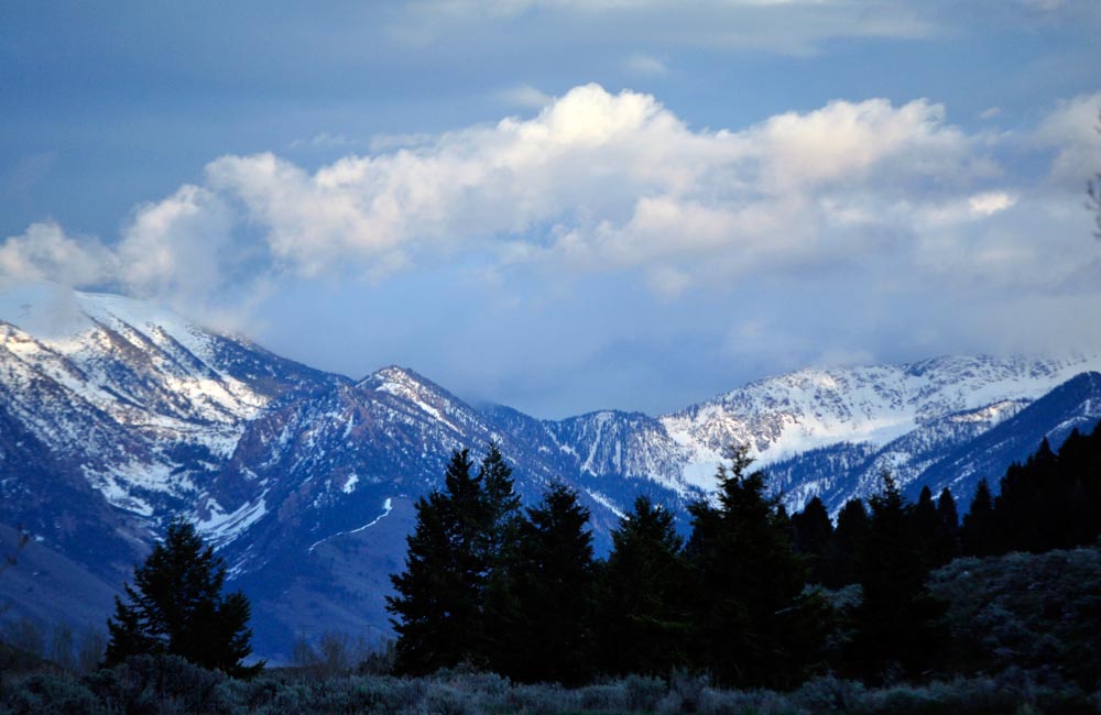 Yellowstone Photography